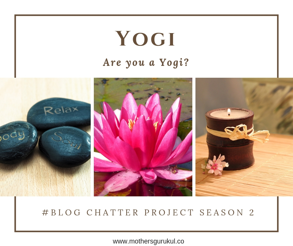 yogi-are you a yogi?