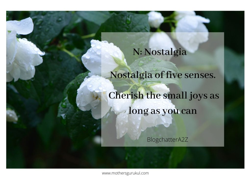 N-Nostalgia of five senses. Cherish the small joys as long as you can