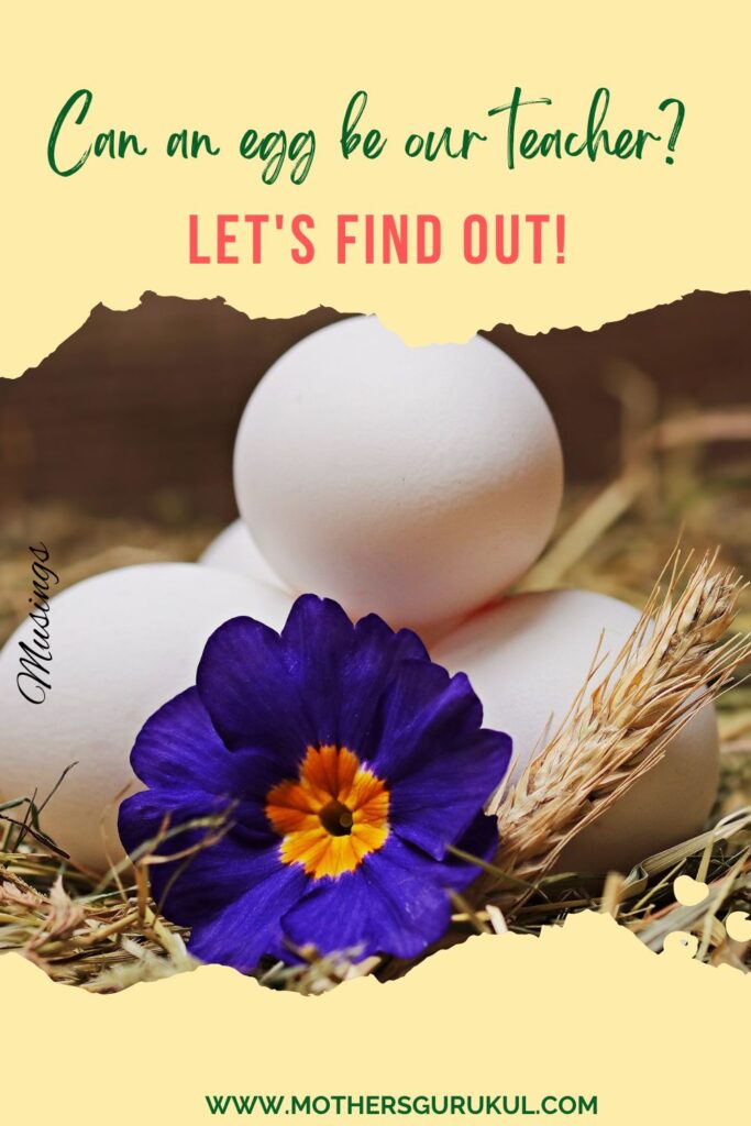Can an egg be our teacher? Let’s find out!